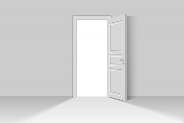 open realistic door