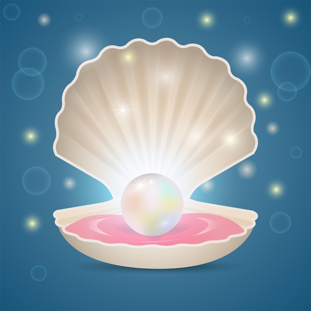 Vector open seashell with a pearl inside illustration