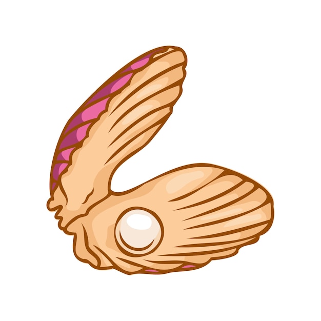 Seashell Clam Oyster Vector 그림 안에 진주가 있는 열린 조개