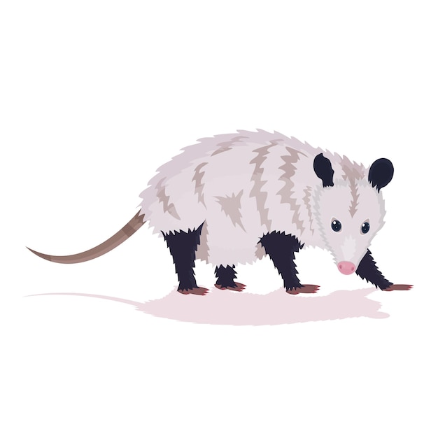 opossum platte vectorillustratie