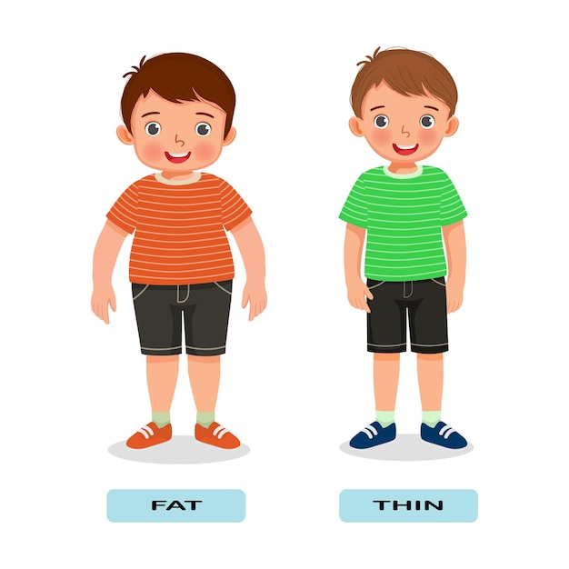 Vector opposite adjective antonym english words fat thin illustration for kids explanation flashcard