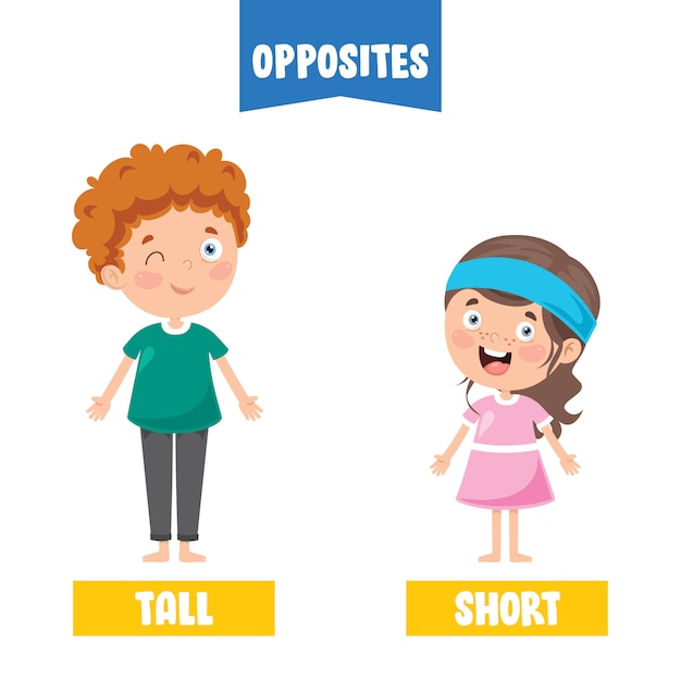 Vector opposite adjectives with cartoon drawings