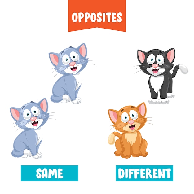 Vector opposite adjectives with cartoon drawings