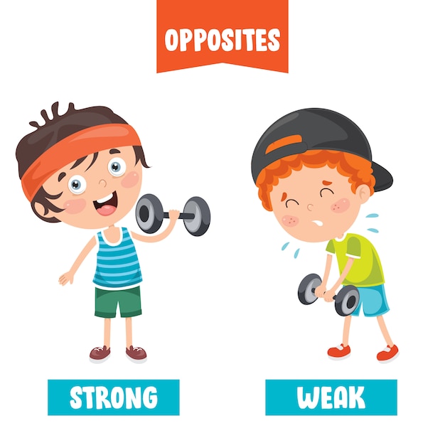 Vector opposite adjectives with cartoon drawings