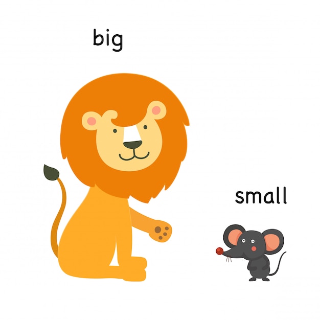 Opposite big and small vector illustration