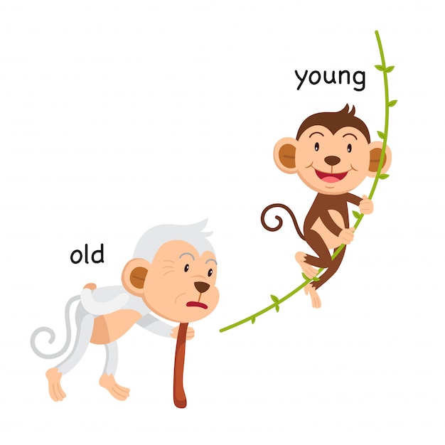 Opposite old and young illustration