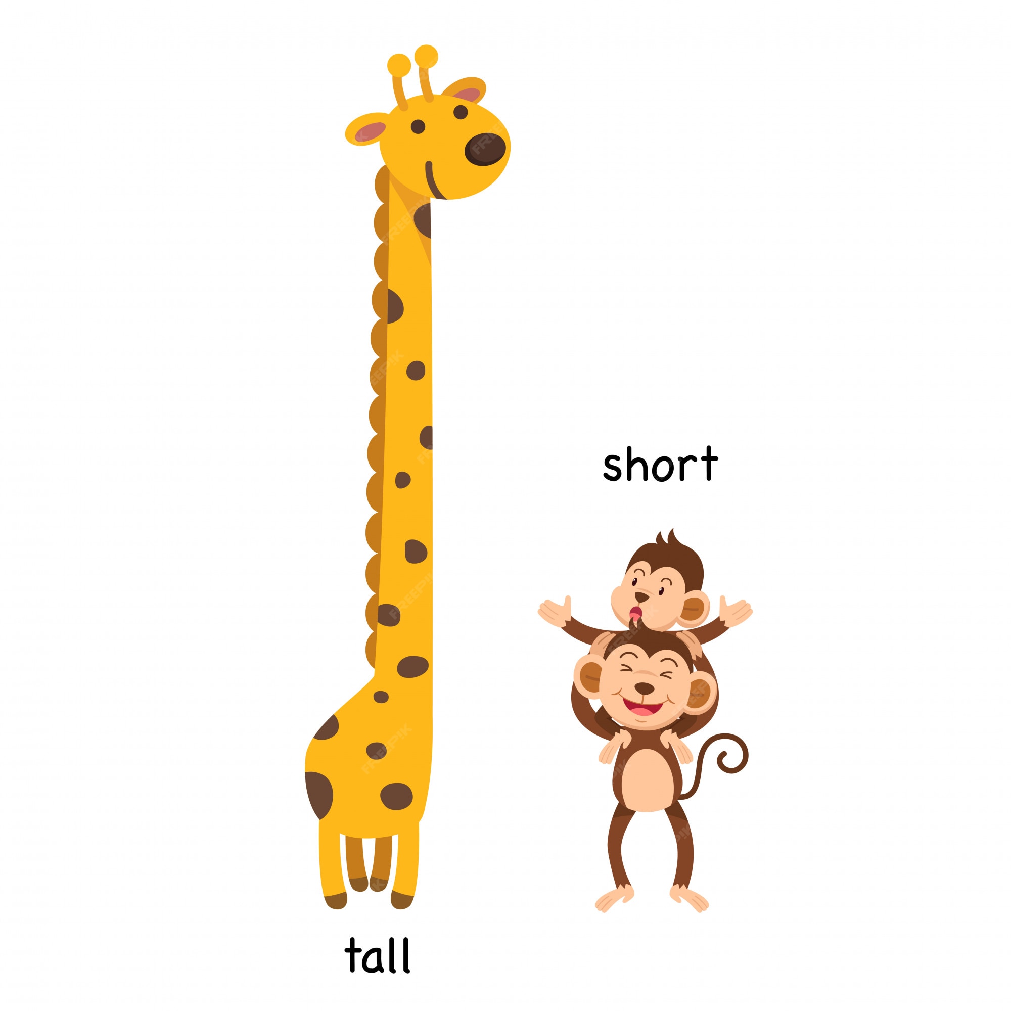 Tall short для детей