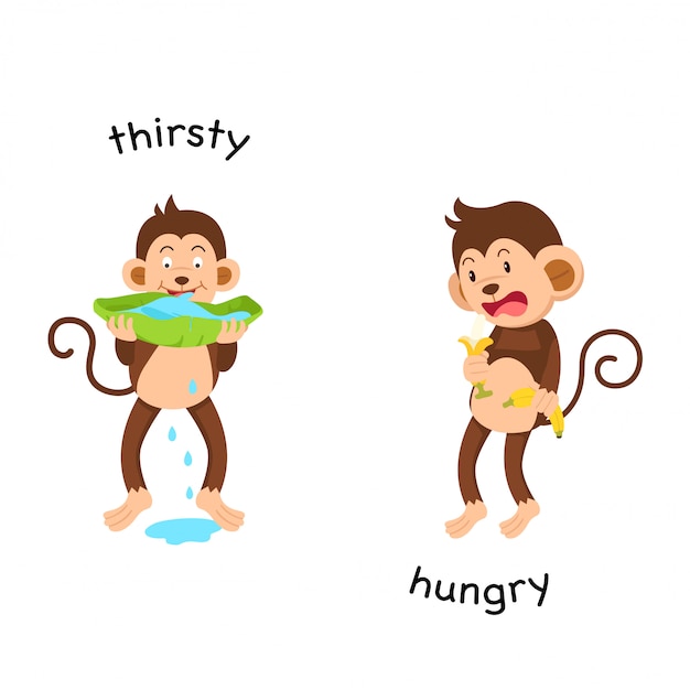 Opposite thirsty and hungry illustration