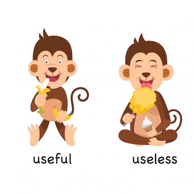 Opposite useful and useless vector illustration