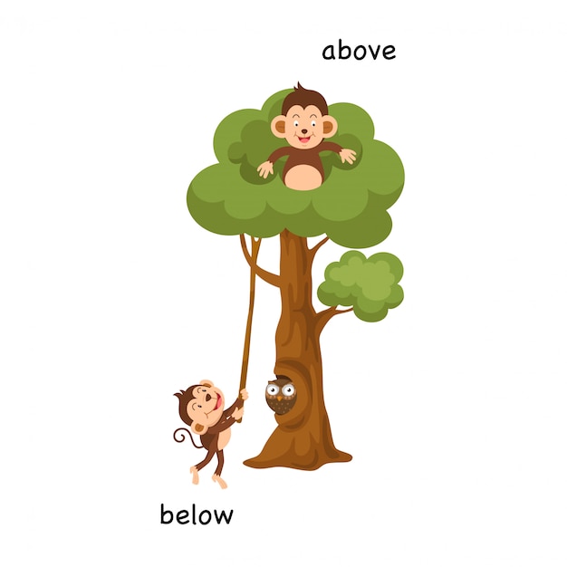 Opposite below and above vector illustration