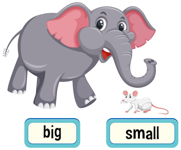 Vector opposite words for big and small