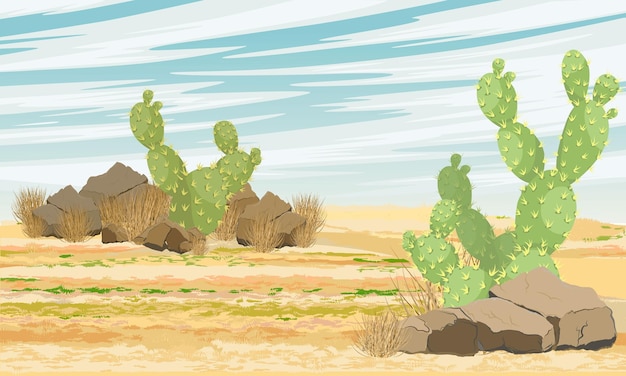 Кактусы опунции растут в пустыне Реалистичный векторный ландшафт
