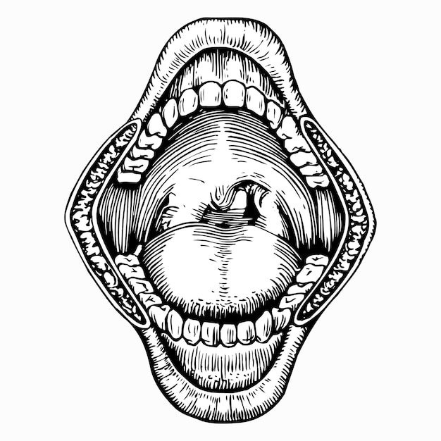 Vector oral cavity