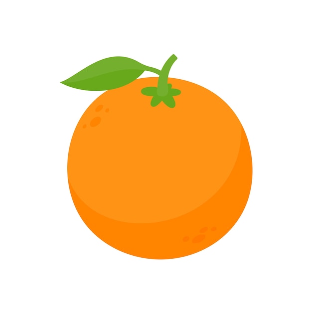 Premium Vector | Orang fruit orange fruit cut into pieces for making juice