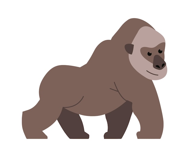 Orang-oetan afrikaanse dieren vectorillustratie