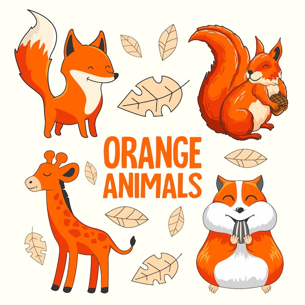 Orange Animals Cartoon Fox Squirrel Giraffe Hamster