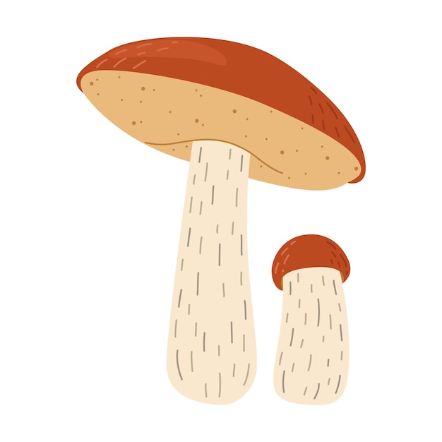 Vector orange birch bolete mushroom leccinum fungi