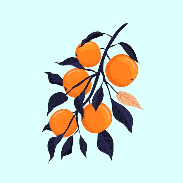 オレンジの枝 果物と装飾的なオレンジの木の枝