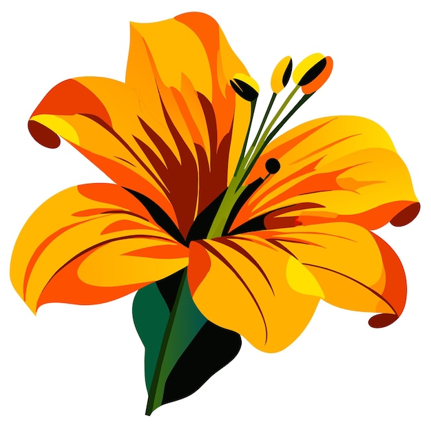 Vector orange bulbous lily flower