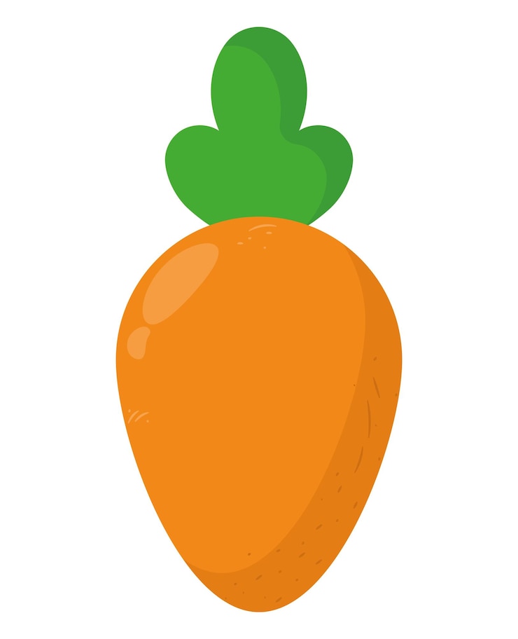 Vector オレンジ カロット デザイン