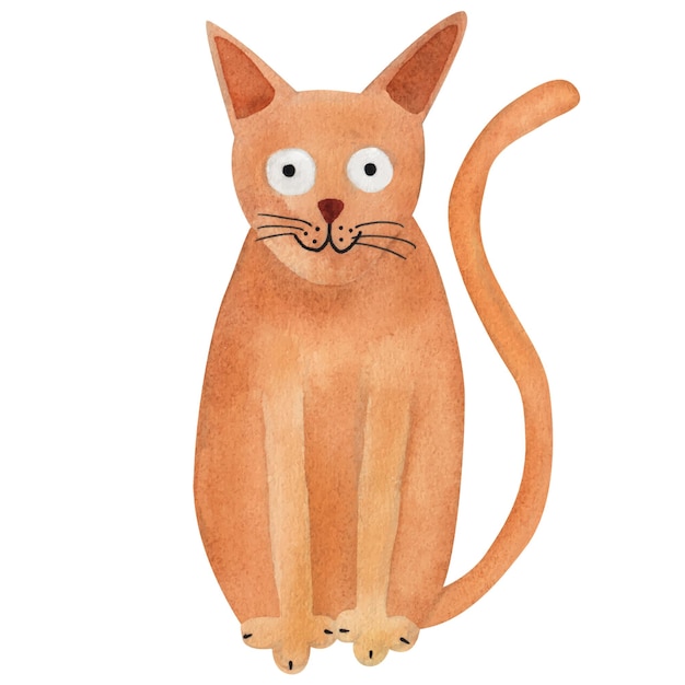 Orange cat funny cat Watercolor illustration on white background