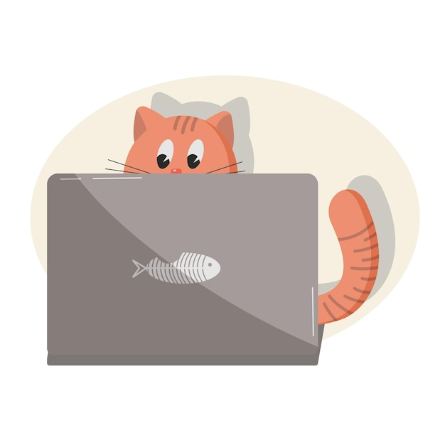 Оранжевый кот работает на ноутбуке