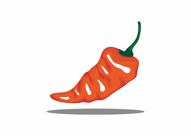 Vector a orange chili pepper vector