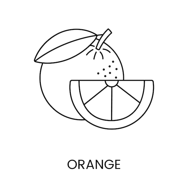 Orange citrus fruit vector line icon designed for food packaging and allergen warnings