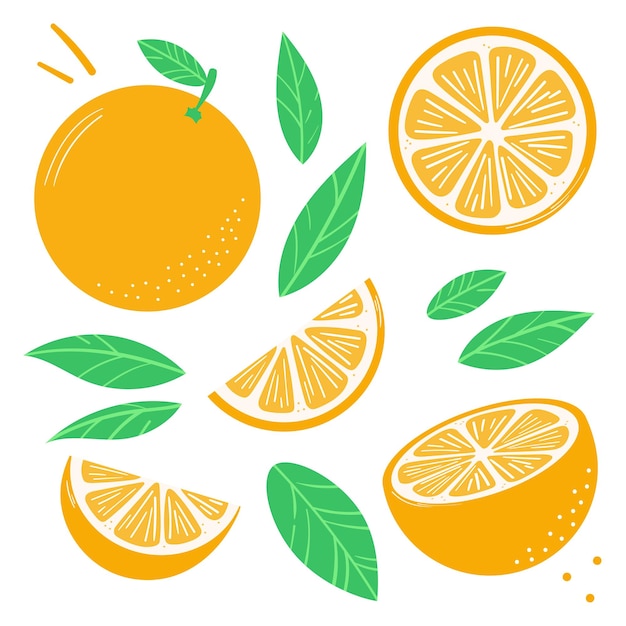 Orange clip art vector illustration set with leaves