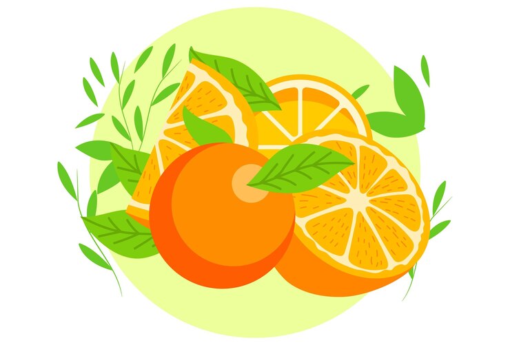 Vector orange concept illustration stylish and beautiful