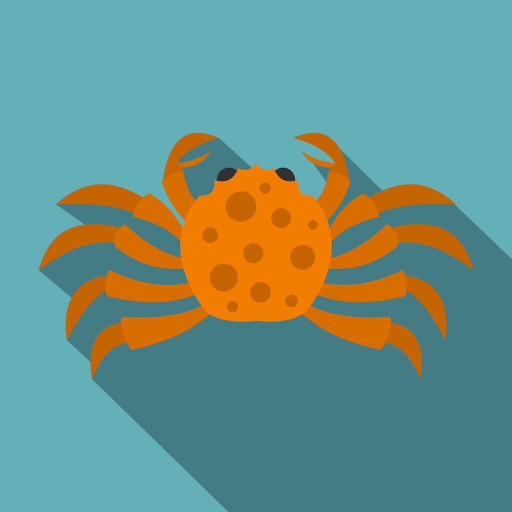Vector orange crab icon flat illustration of orange crab vector icon for web isolated on baby blue background