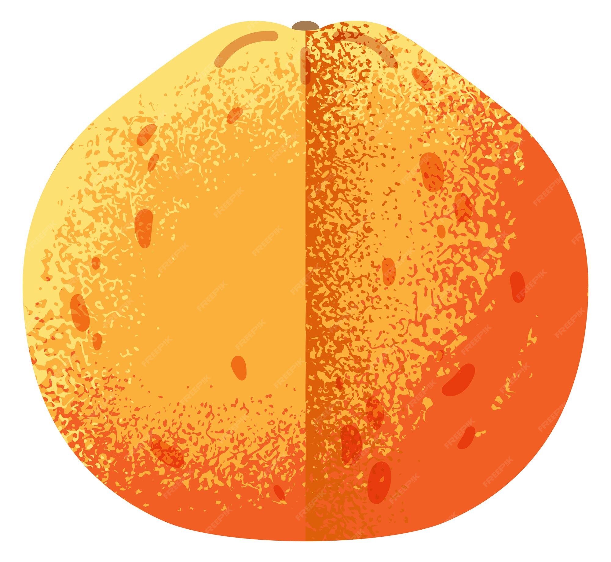 Premium Vector | Orange flat icon sweet fruit in textured style