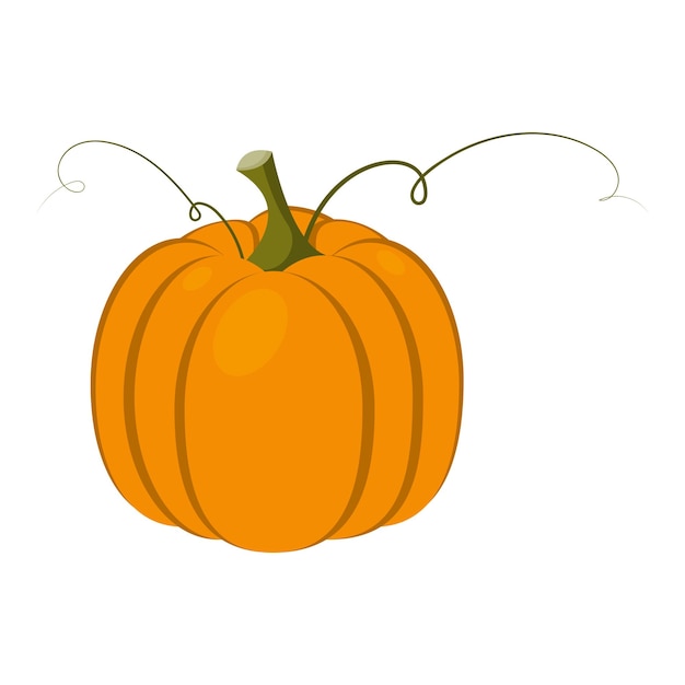 Vector orange flat illustration of a pumpkin with green swirls autumn harvest autumn harvest