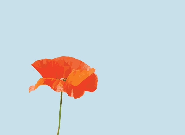 Orange flower background