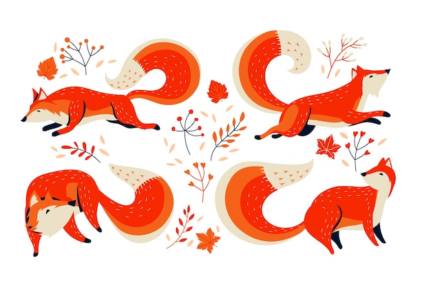 orange fox collection  with autumn flower