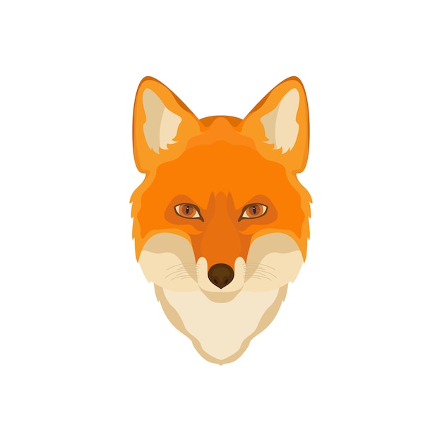 Orange fox head.