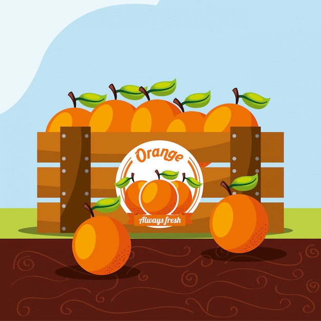 オレンジ色の果物は常に木のバスケットで新鮮です