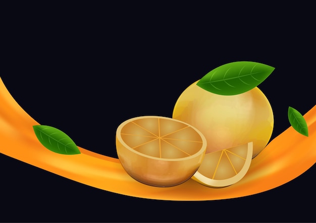 Orange fruit background vector