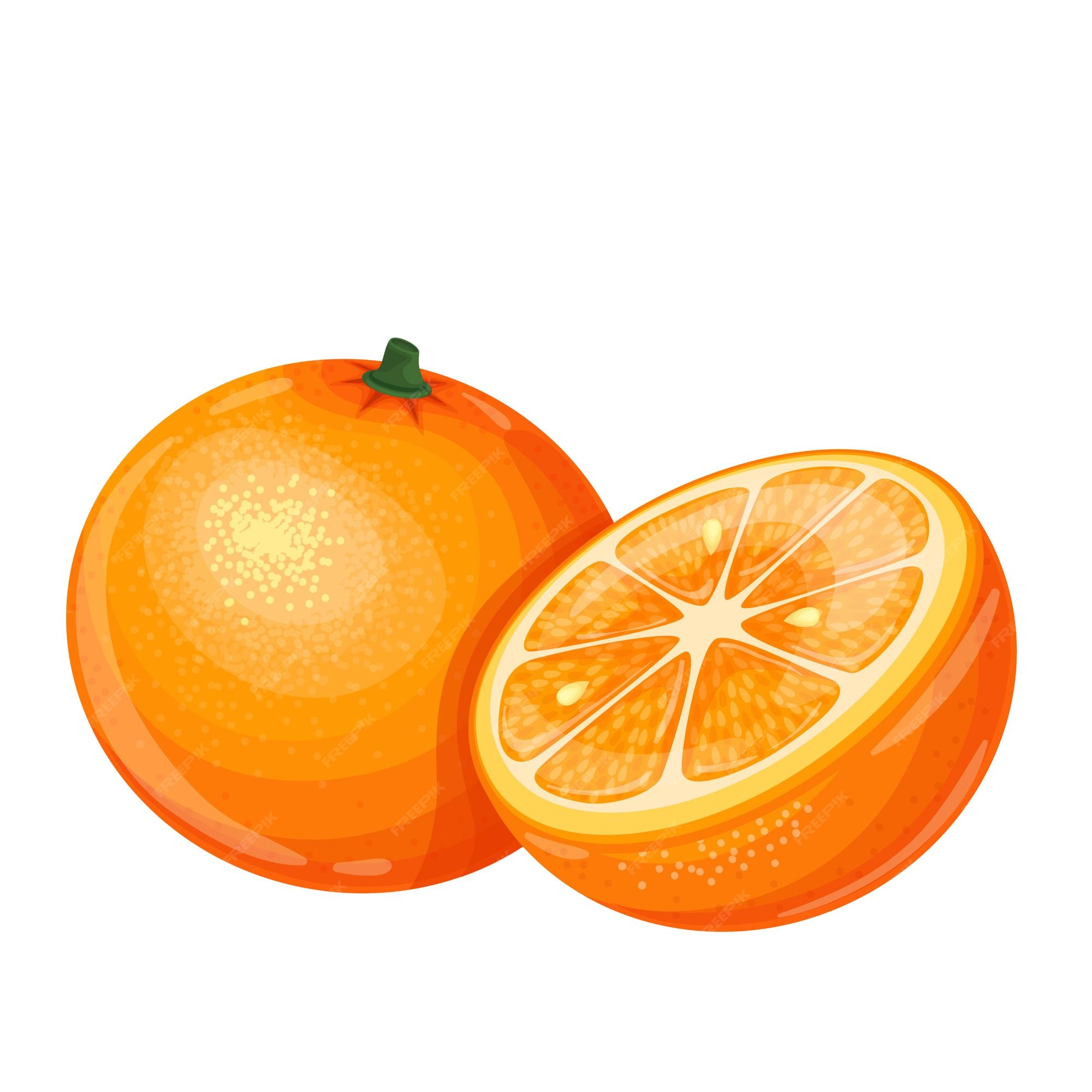 Premium Vector | Orange fruit in cartoon style. Premium Vector | Orange fruit in cartoon style.