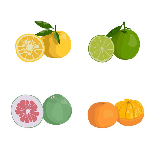 Orange fruit fresh fruit for healthy lifestyle Free vector