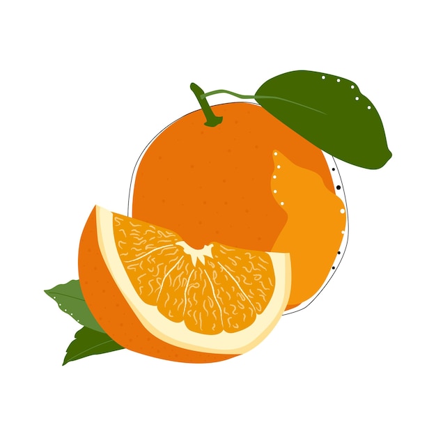 Illustrazione di vettore isolato frutta arancione su priorità bassa bianca. concetto di cibo estivo. disegno naturale.