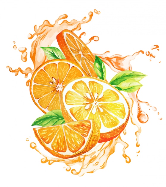 Vector orange fruit and leaves in the splash of orange juice