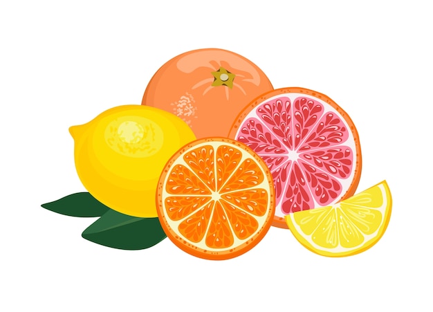 Orange fruit lemon grapefruit isolated