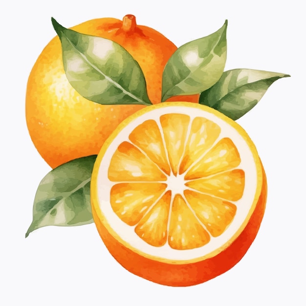 Вектор Оранжевый фрукт логотип мультфильм художественная иллюстрация концепция милая веганская еда