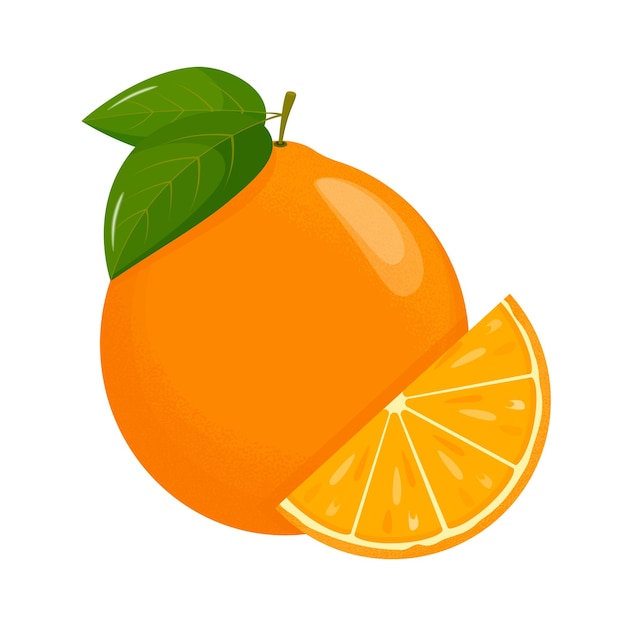 ベクトル オレンジの果実 - 白い背景に分割されたオレンジ - ジューシーな季節の果物 - 柑橘類