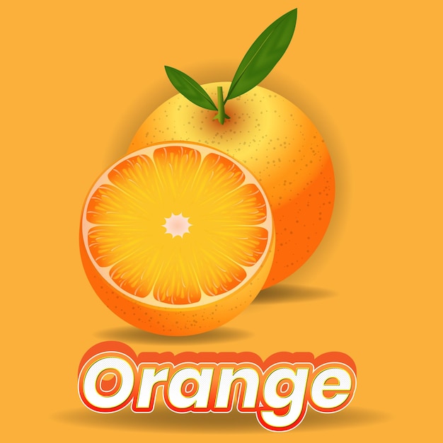 Orange fruit and slices of orange vector illustration of orange