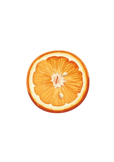 Orange fruit Summer delicious fruits Vector illustration in flat style