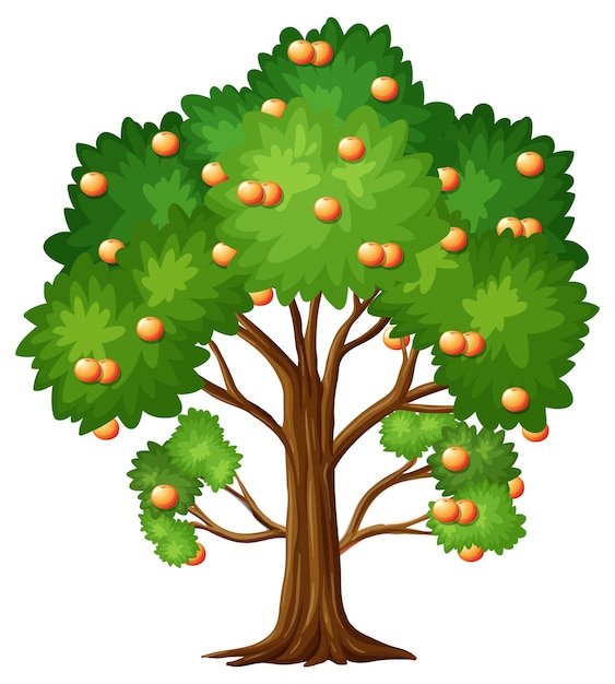 흰색 절연 만화 스타일의 오렌지 과일 나무