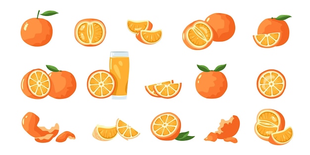 Orange fruit tropical tangerine and clementine slices healthy whole mandarin and tangerine pieces and skin cartoon flat collection vector isolated set