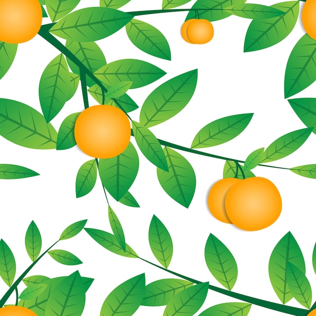 Disegno vettoriale di frutta arancione con rami di albero e foglie verdi naturali senza cuciture